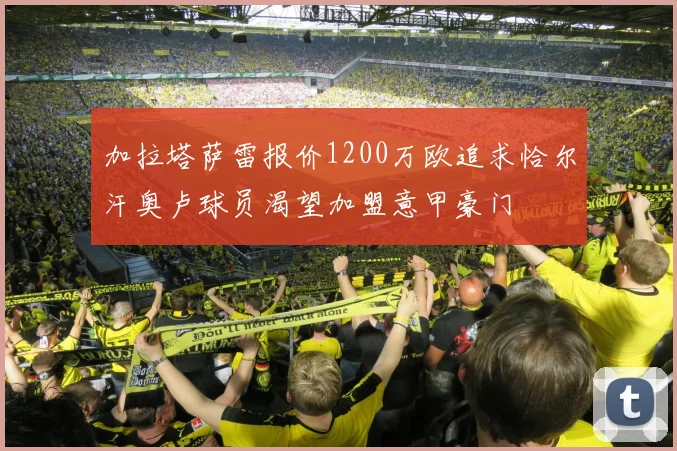 加拉塔萨雷报价1200万欧追求恰尔汗奥卢球员渴望加盟意甲豪门