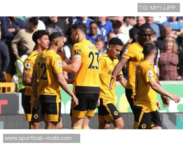 水晶宫选帅目标锁定佩雷斯贝拉米锋线引援瞄准斯特林 水晶宫选帅目标锁定佩雷斯贝拉米锋线引援瞄准斯特林